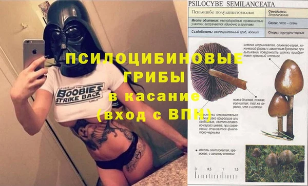 дмт Лихославль