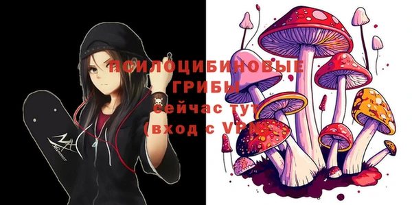 дмт Лихославль